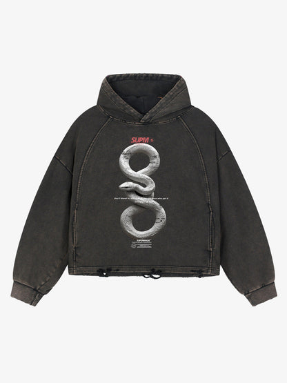 Vintage Washed Snake Appliqué Pullover Hoodie