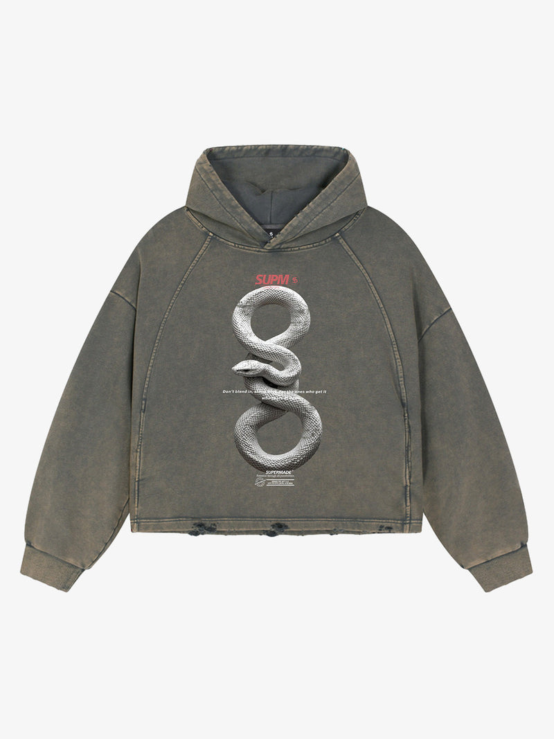 Vintage Washed Snake Appliqué Pullover Hoodie