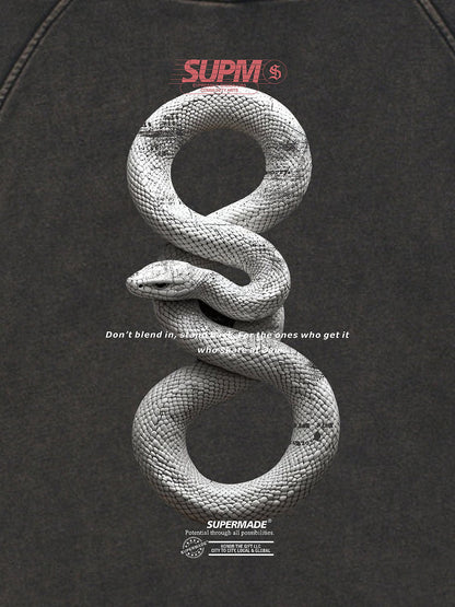 Vintage Washed Snake Appliqué Pullover Hoodie