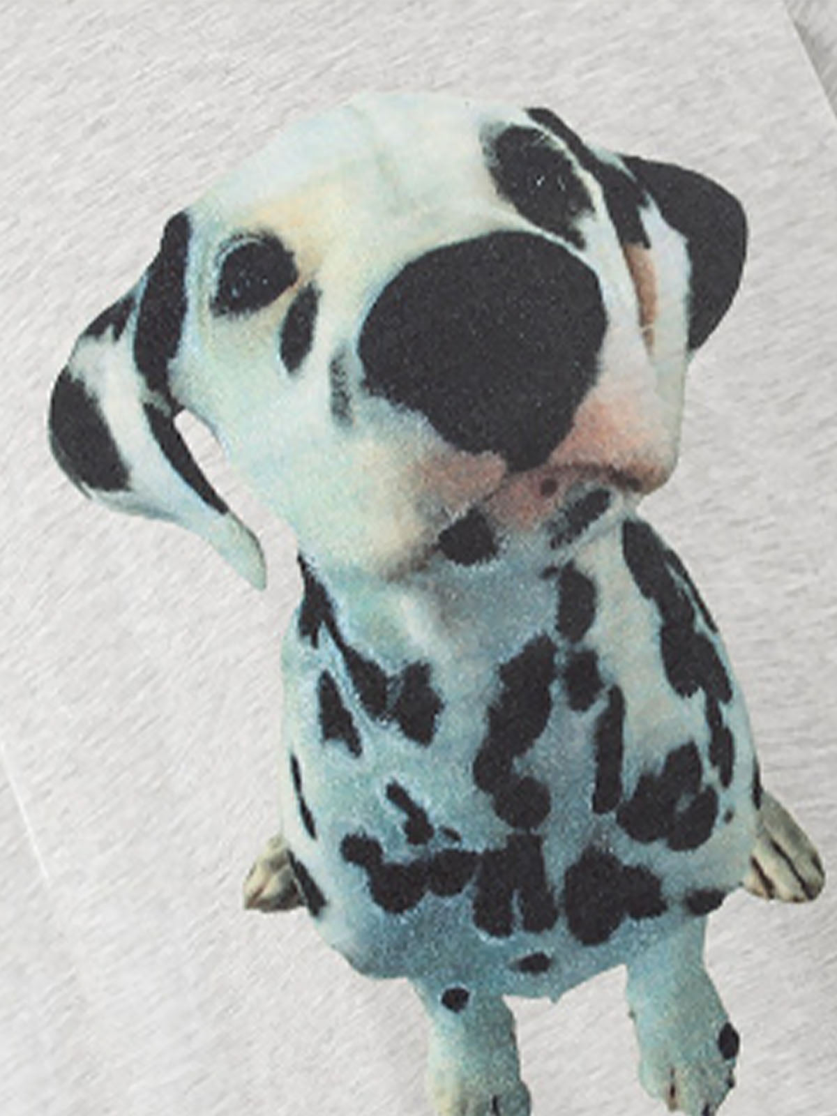 Dalmatian Print Tee