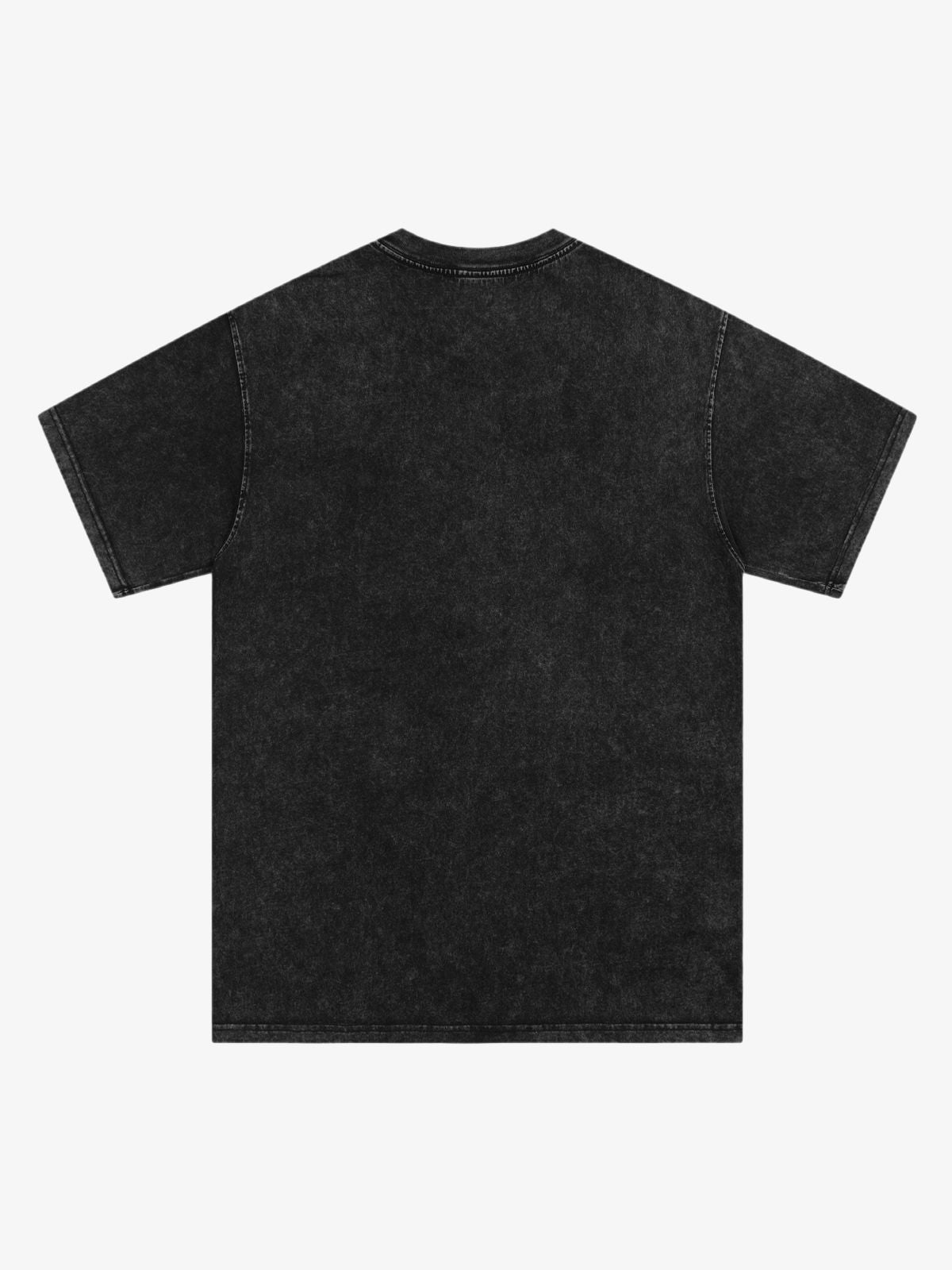 Authentic Virgin Mary Graphic Tee