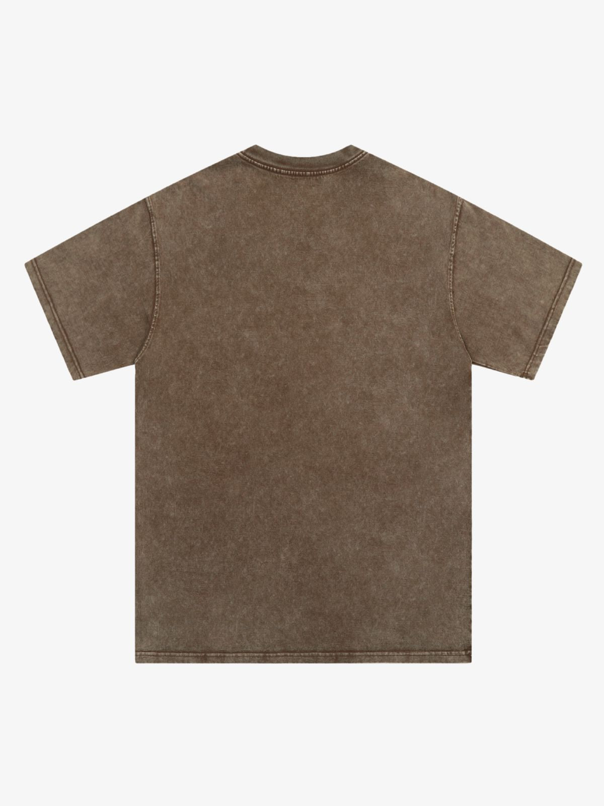 Authentic Virgin Mary Graphic Tee